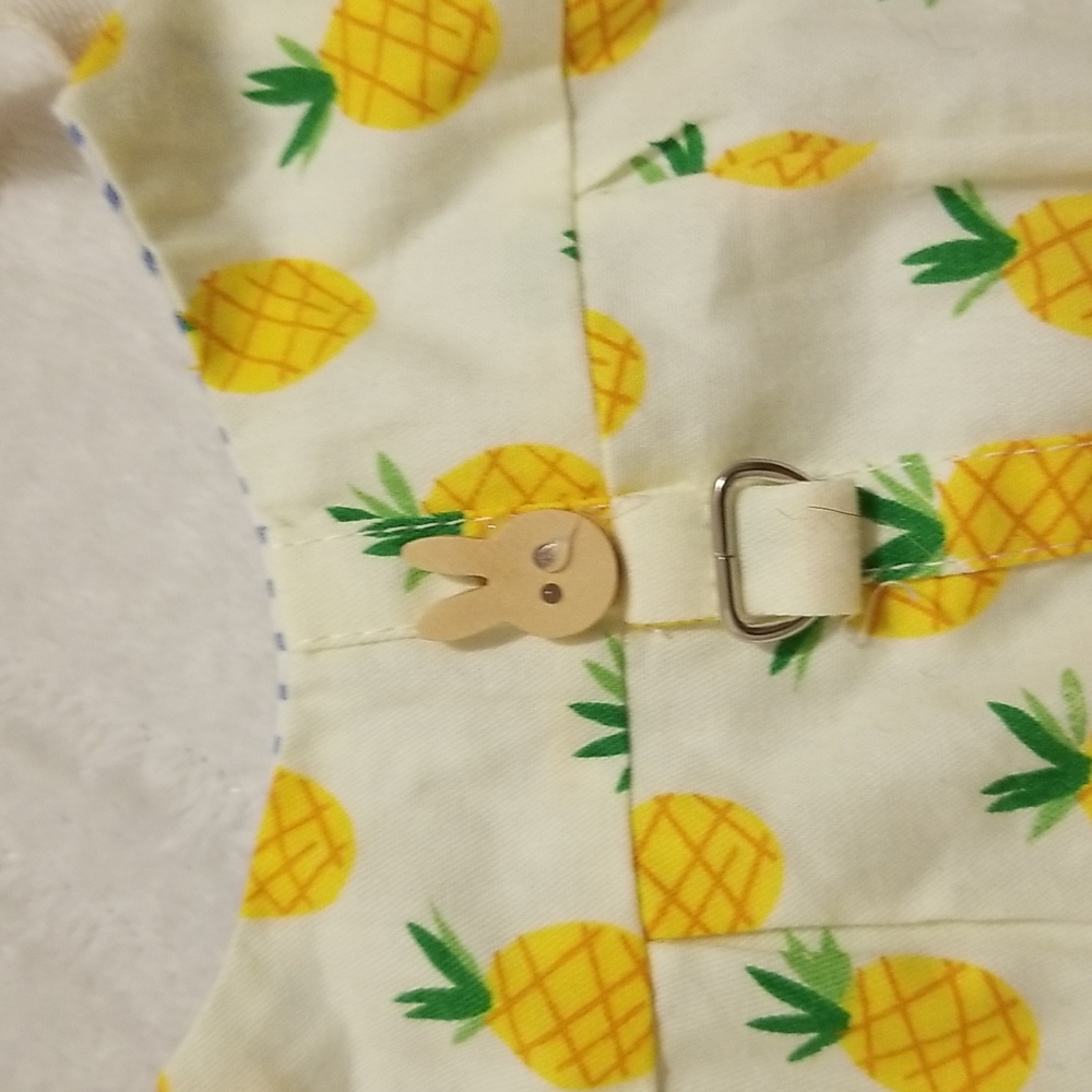 Bunny Rabbit Pineapple Dress - Picture 4 of 5